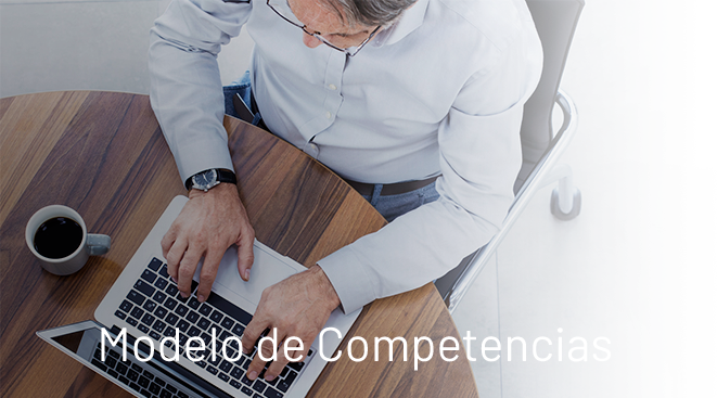 Modelo de Competencias